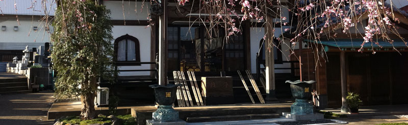伝法寺 – 見事な枝垂れ桜がある寺