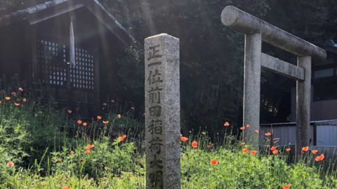「第5回 松戸の寺社春色フォトコンテスト」結果発表