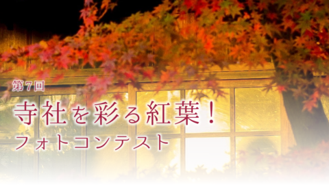 【応募締め切りました】「第7回 寺社を彩る紅葉！フォトコンテスト」開催のお知らせ